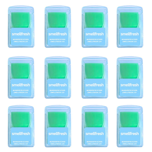 SMELLFRESH - B2B - smellfresh - smellfresh